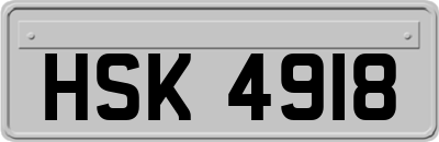 HSK4918