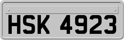 HSK4923