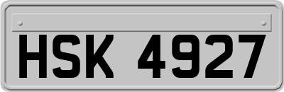 HSK4927