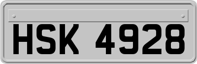 HSK4928