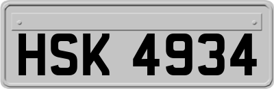 HSK4934