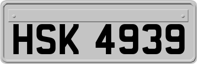 HSK4939