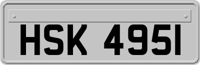HSK4951