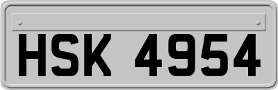 HSK4954