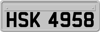 HSK4958