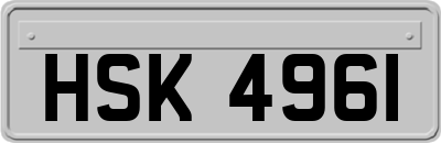 HSK4961