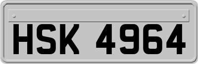 HSK4964