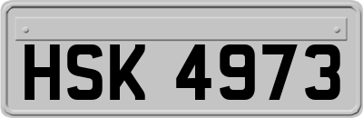 HSK4973