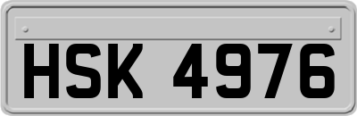 HSK4976