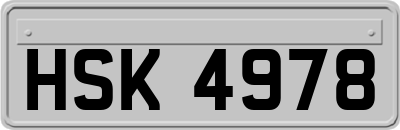 HSK4978