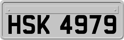 HSK4979