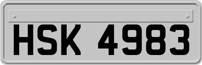 HSK4983