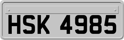 HSK4985