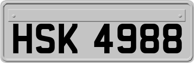 HSK4988