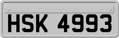 HSK4993