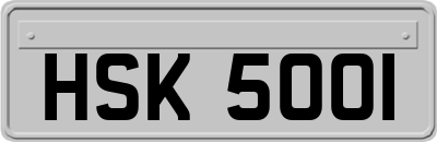HSK5001