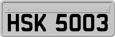 HSK5003
