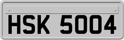 HSK5004
