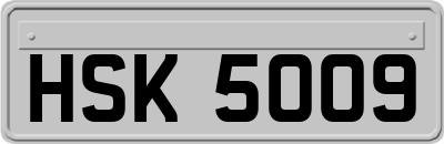 HSK5009