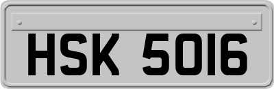 HSK5016