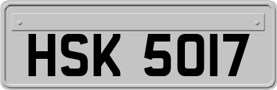 HSK5017