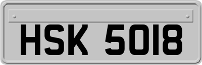 HSK5018