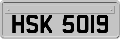 HSK5019