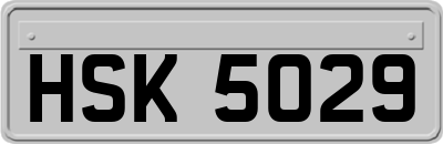 HSK5029