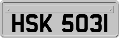 HSK5031
