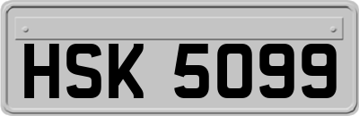 HSK5099
