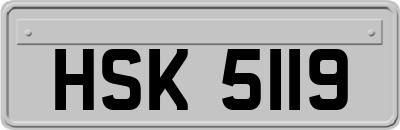 HSK5119