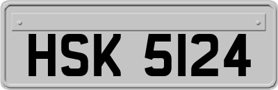 HSK5124