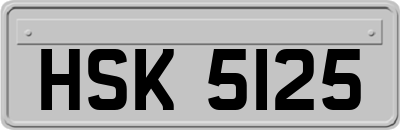 HSK5125
