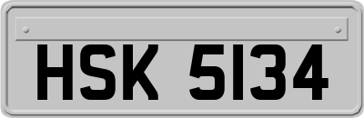 HSK5134