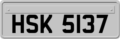 HSK5137