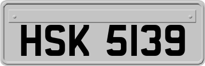 HSK5139