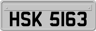 HSK5163