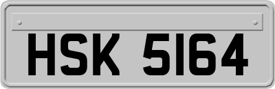 HSK5164