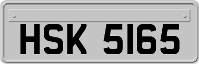 HSK5165