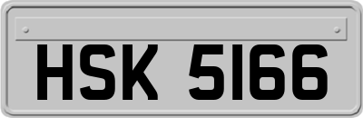 HSK5166