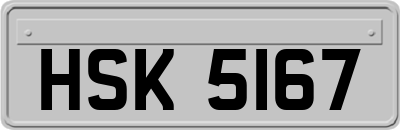 HSK5167
