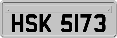 HSK5173