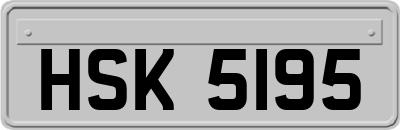 HSK5195