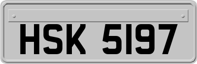 HSK5197
