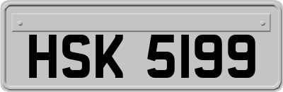 HSK5199