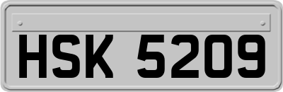 HSK5209