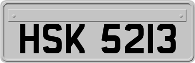 HSK5213