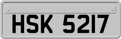 HSK5217