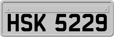 HSK5229