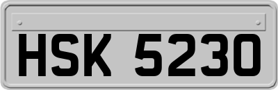 HSK5230